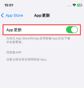 乡城苹果15维修中心如何让iPhone15APP自动更新